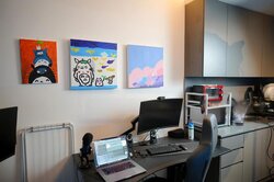 Lorong Bachok (D14), Shop House #456196011